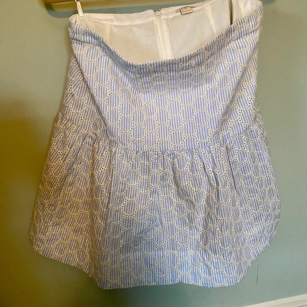 J. Crew Skirt